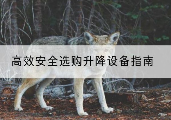 灌阳升降货梯厂家推荐-*安全选购升降设备指南