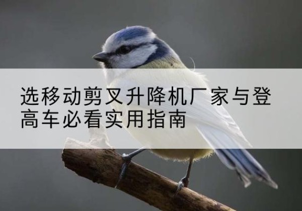 灌阳电动升降机厂家-选移动剪叉升降机厂家与登高车必看实用指南