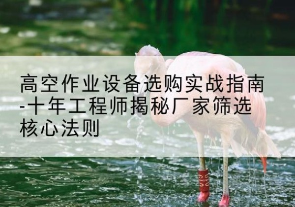 灌阳剪叉式升降机厂家-高空作业设备选购实战指南-十年工程师揭秘厂家筛选核心法则